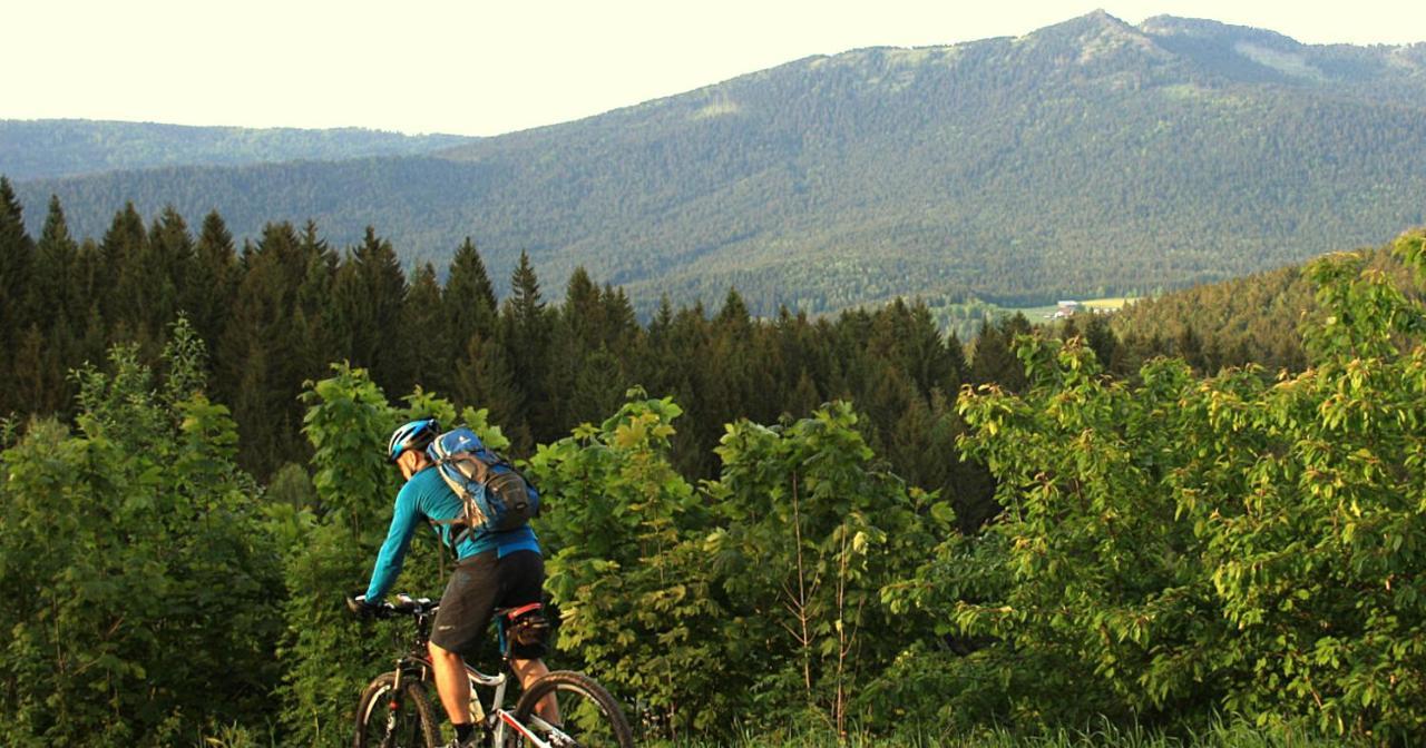 Garnihotel Zur Linde - Bayerischer Wald - Aktivcard Mit 154 Kostenfreien Leistungen - Kostenloser Parkplatz Lohberg Dış mekan fotoğraf