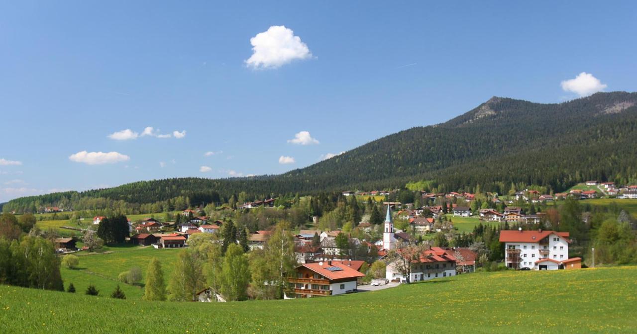 Garnihotel Zur Linde - Bayerischer Wald - Aktivcard Mit 154 Kostenfreien Leistungen - Kostenloser Parkplatz Lohberg Dış mekan fotoğraf