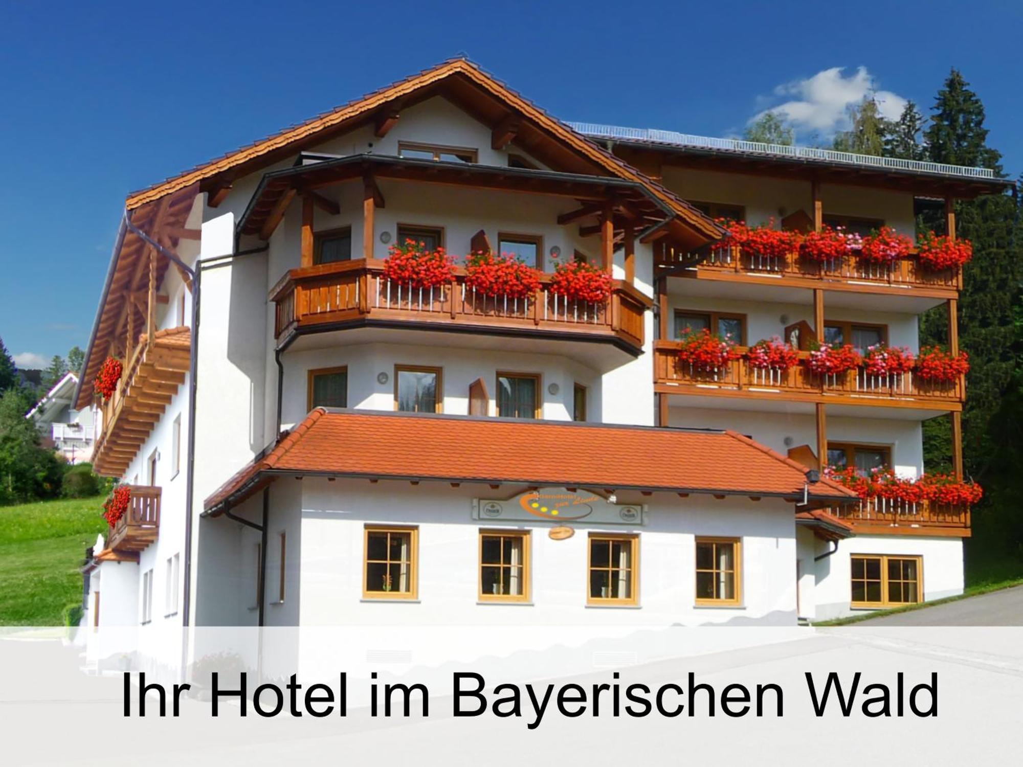 Garnihotel Zur Linde - Bayerischer Wald - Aktivcard Mit 154 Kostenfreien Leistungen - Kostenloser Parkplatz Lohberg Dış mekan fotoğraf